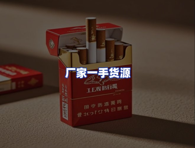 专业团队